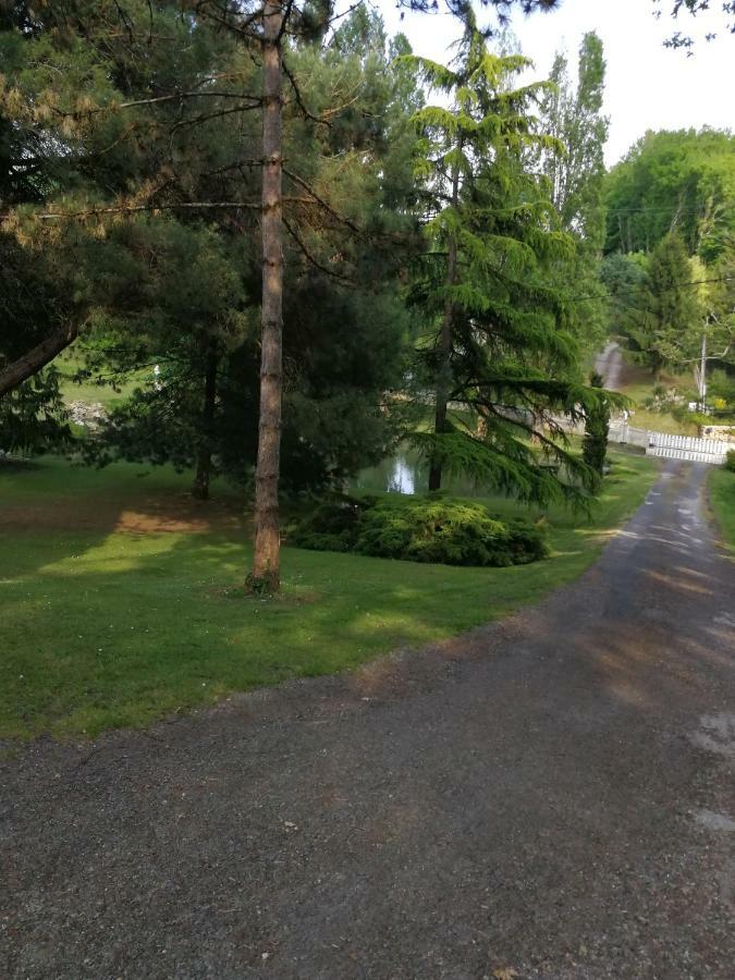 Le Jardin D Eau Hotel Lamothe-Montravel Buitenkant foto