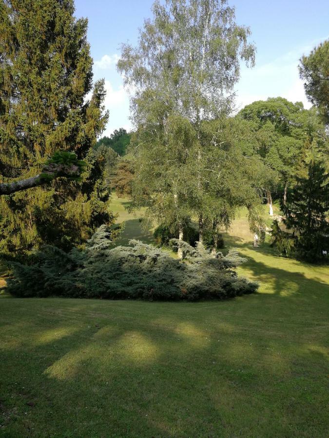 Le Jardin D Eau Hotel Lamothe-Montravel Buitenkant foto