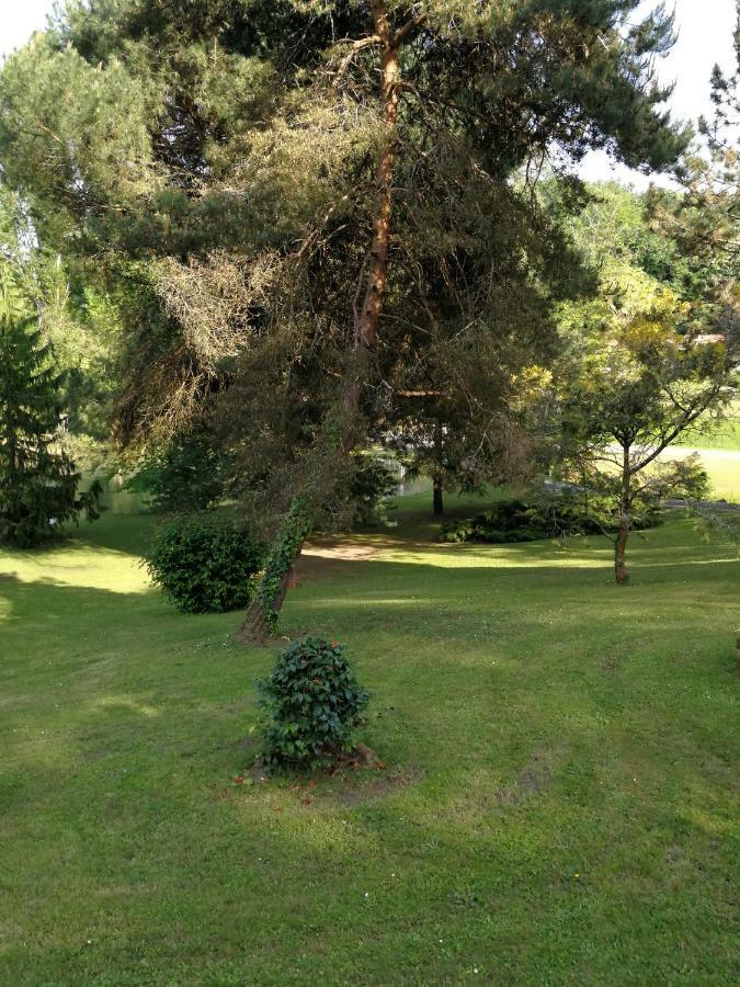Le Jardin D Eau Hotel Lamothe-Montravel Buitenkant foto